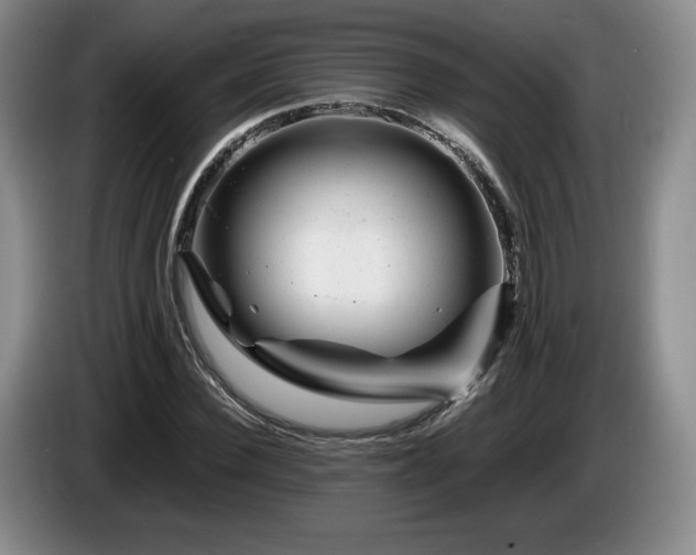 X0000085290924200703091407