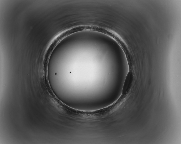 X0000085290927200703091407