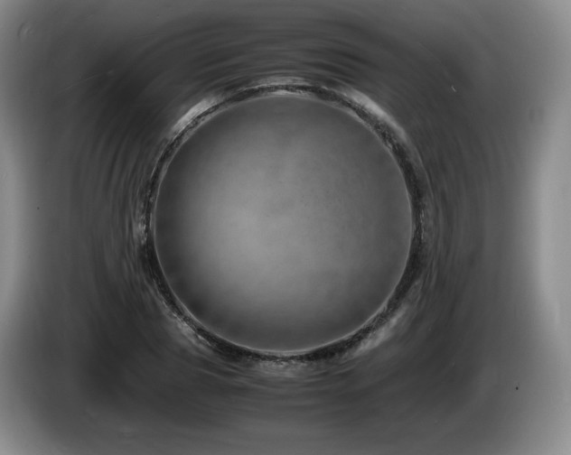 X0000085290929200703091407