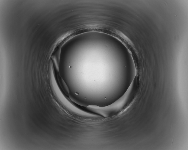 X0000085290930200703091407