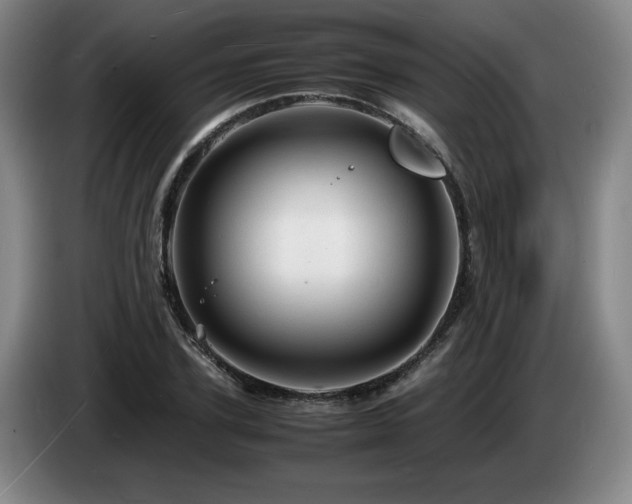 X0000085290931200703091407