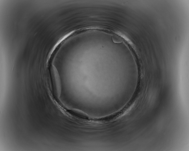 X0000085290933200703091407