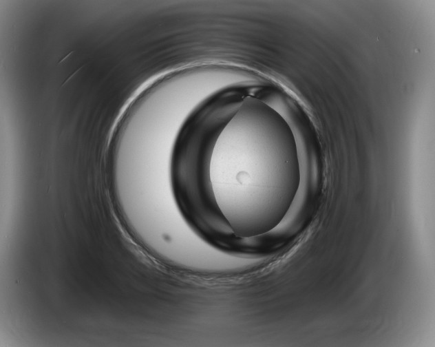 X0000085290934200703091407