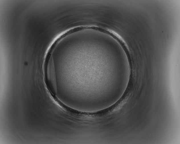 X0000085290935200703091407