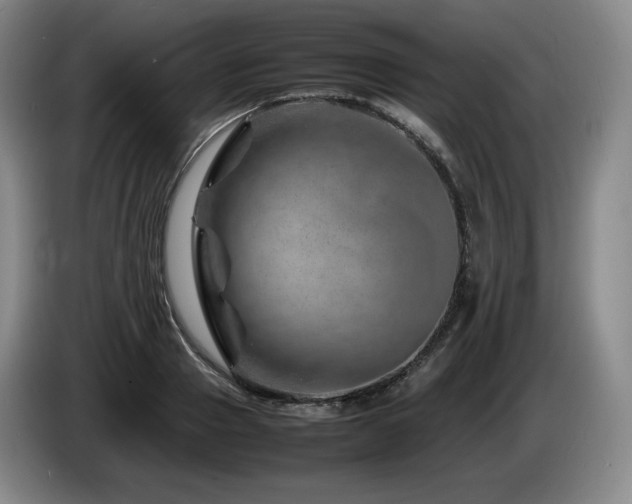 X0000085290937200703091407