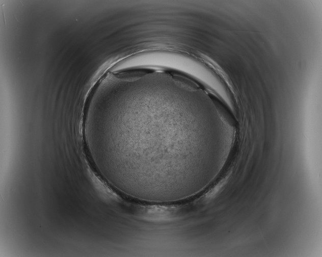 X0000085290938200703091407