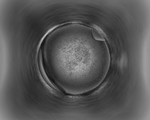 X0000085290939200703091407