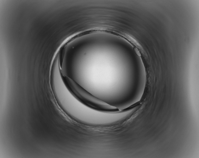 X0000085290940200703091407