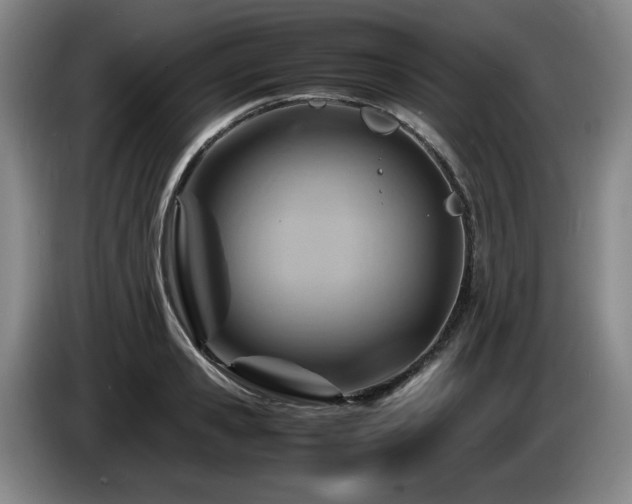 X0000085290941200703091407