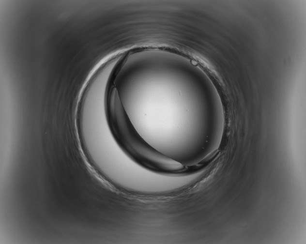 X0000085290942200703091407