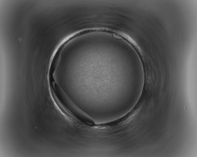 X0000085290943200703091407