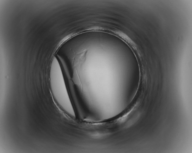 X0000085290945200703091407