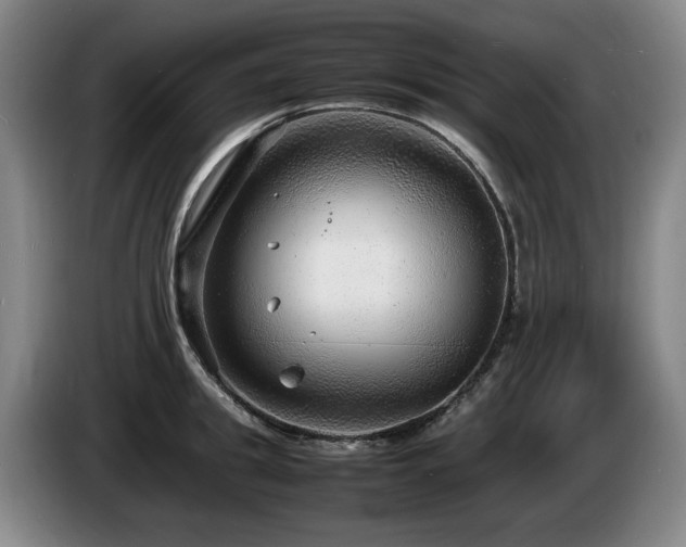 X0000085290949200703091407