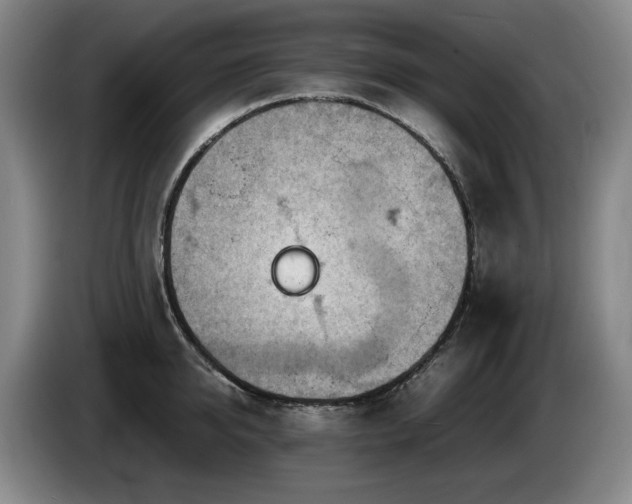 X0000085290950200703091407