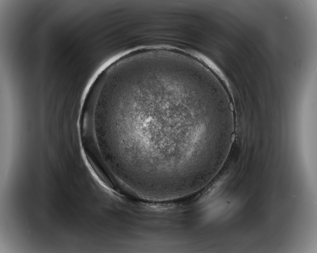 X0000085290951200703091407
