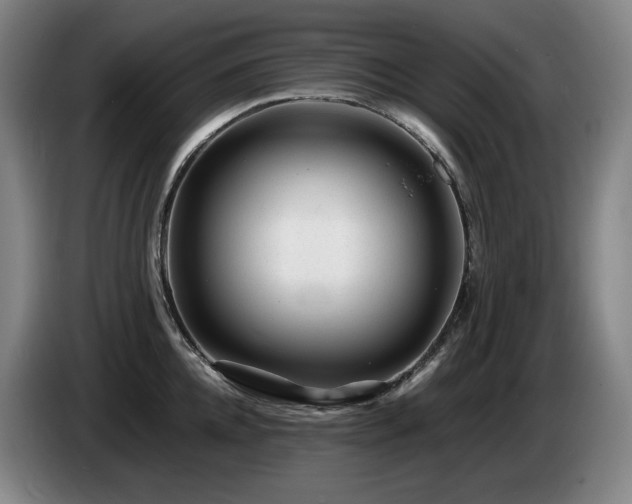 X0000085290952200703091407