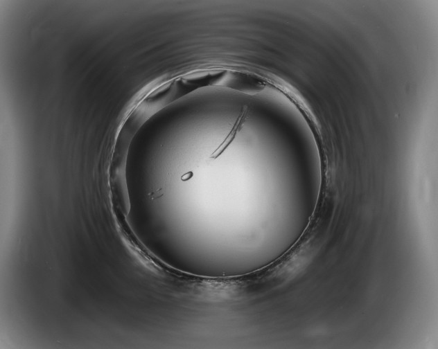 X0000085290954200703091407