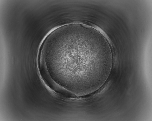 X0000085290955200703091407
