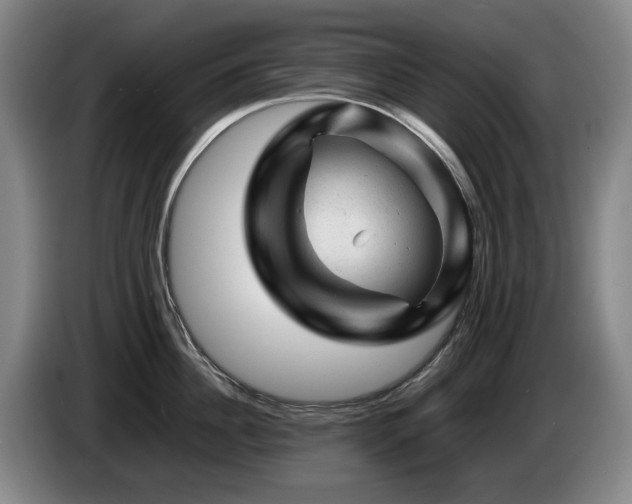 X0000085290956200703091407