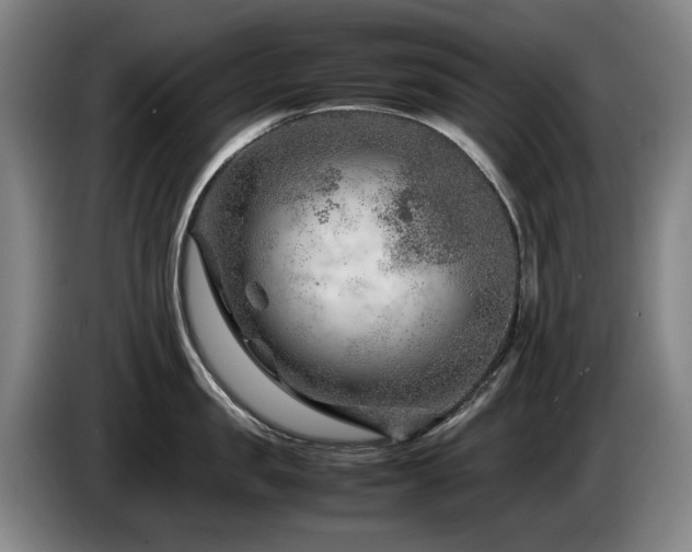 X0000085290957200703091407