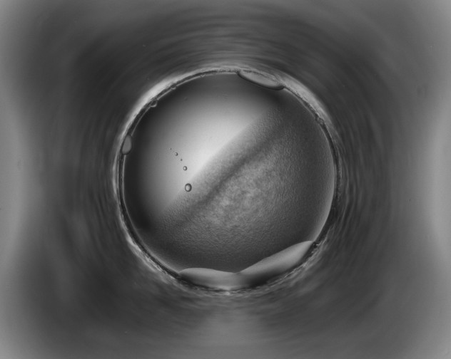 X0000085290958200703091407