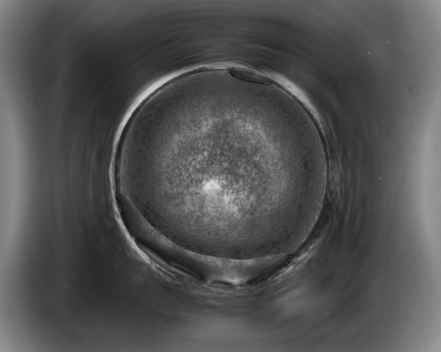 X0000085290959200703091407