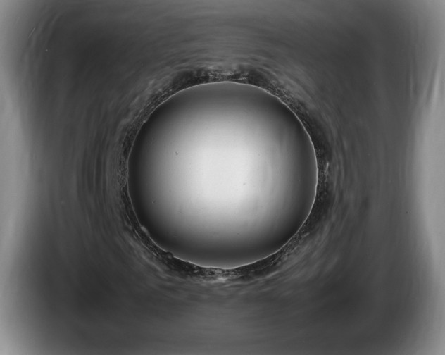 X0000085290961200703091407