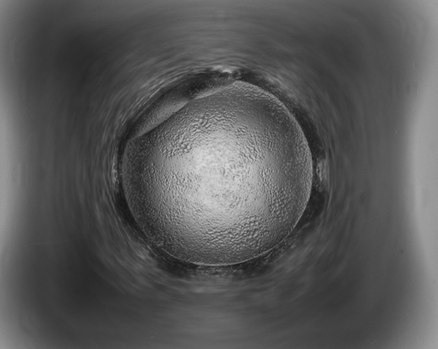X0000085290963200703091407