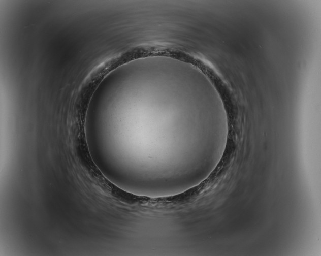 X0000085290967200703091407
