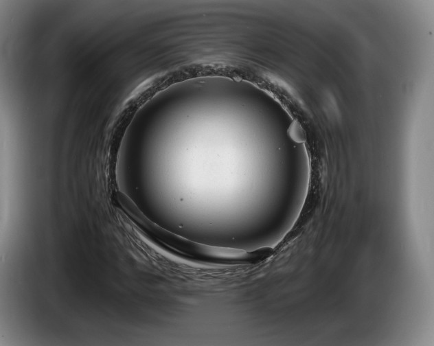 X0000085290968200703091407