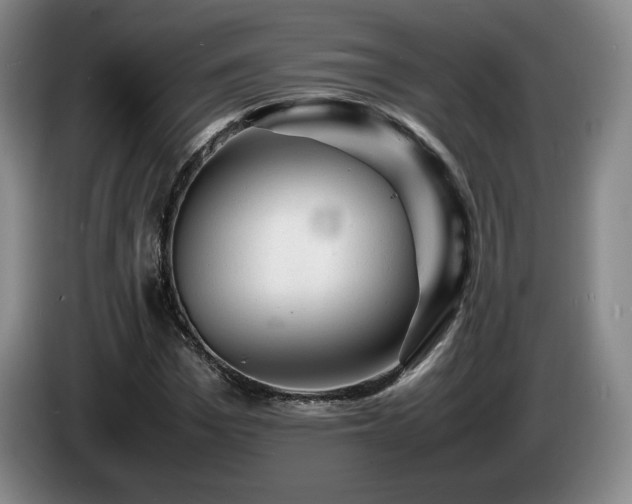 X0000085290969200703091407