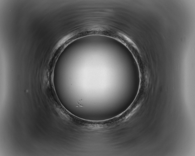 X0000085290970200703091406