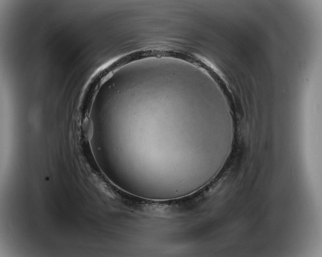 X0000085290971200703091406
