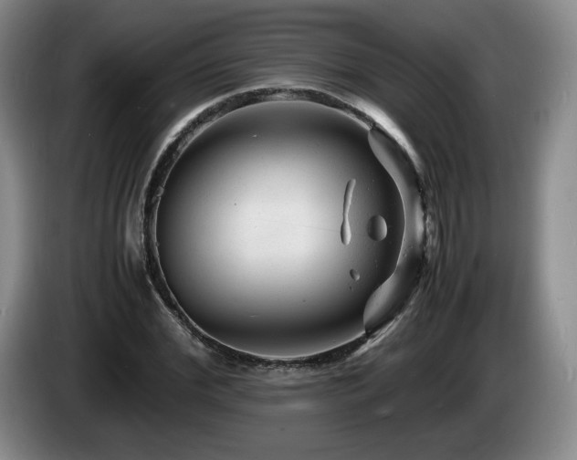 X0000085290972200703091406