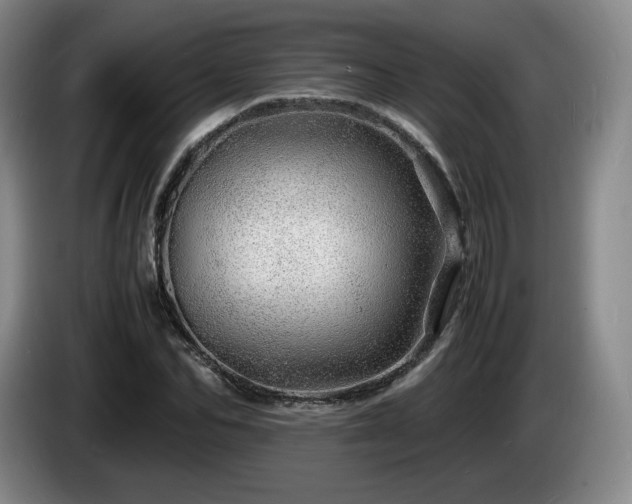 X0000085290974200703091406