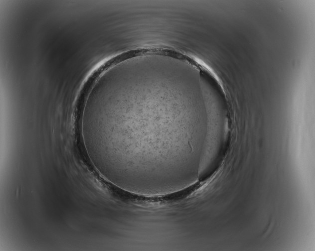 X0000085290975200703091406