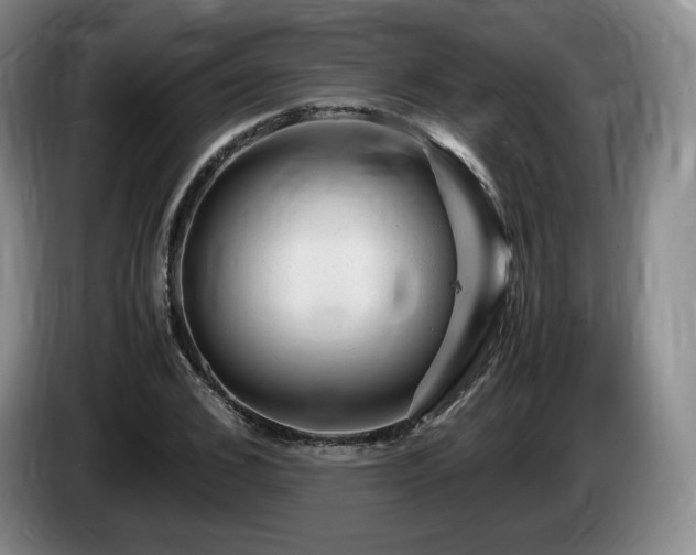 X0000085290976200703091406