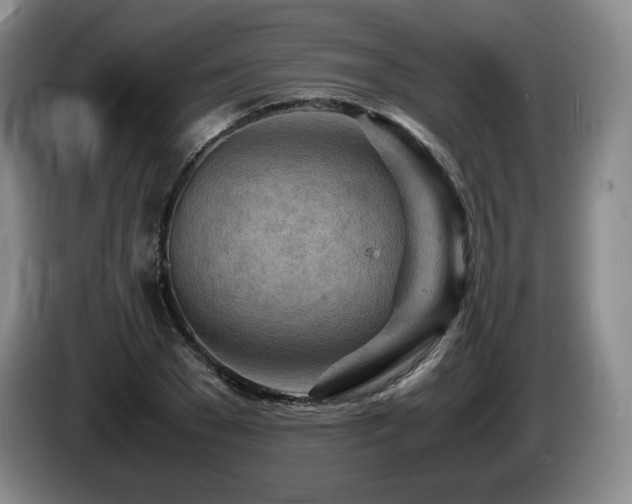 X0000085290977200703091406