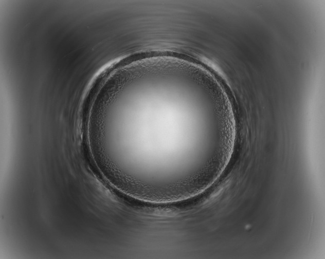 X0000085290979200703091406