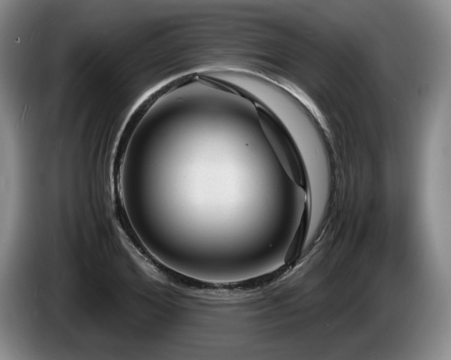 X0000085290980200703091406