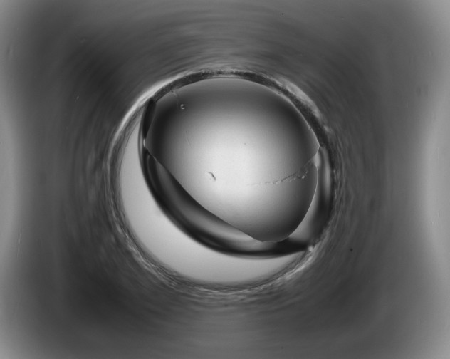 X0000085290981200703091406