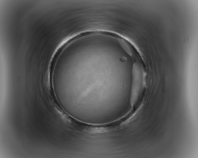 X0000085290982200703091406
