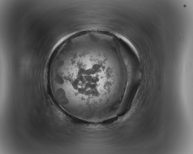 X0000085290983200703091406