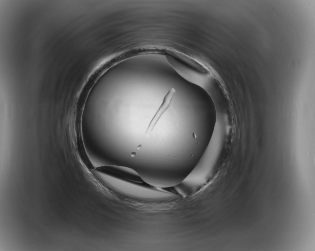 X0000085290984200703091406