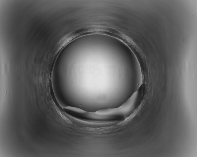 X0000085290985200703091406
