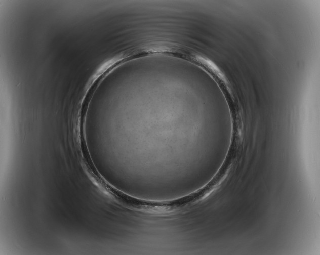 X0000085290986200703091406