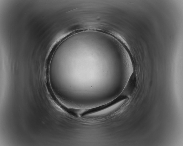 X0000085290987200703091406