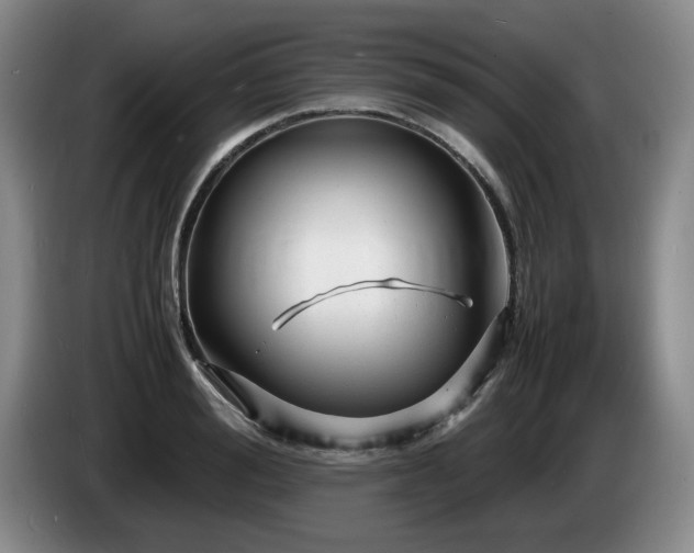 X0000085290988200703091406