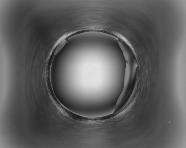 X0000085290989200703091406