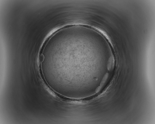 X0000085290990200703091406